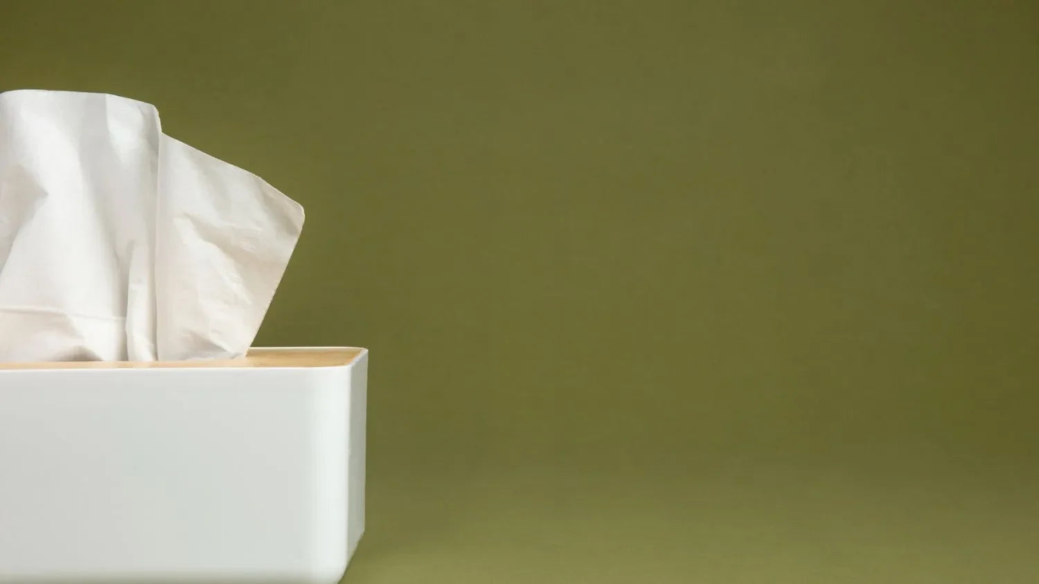 Napkin Holder