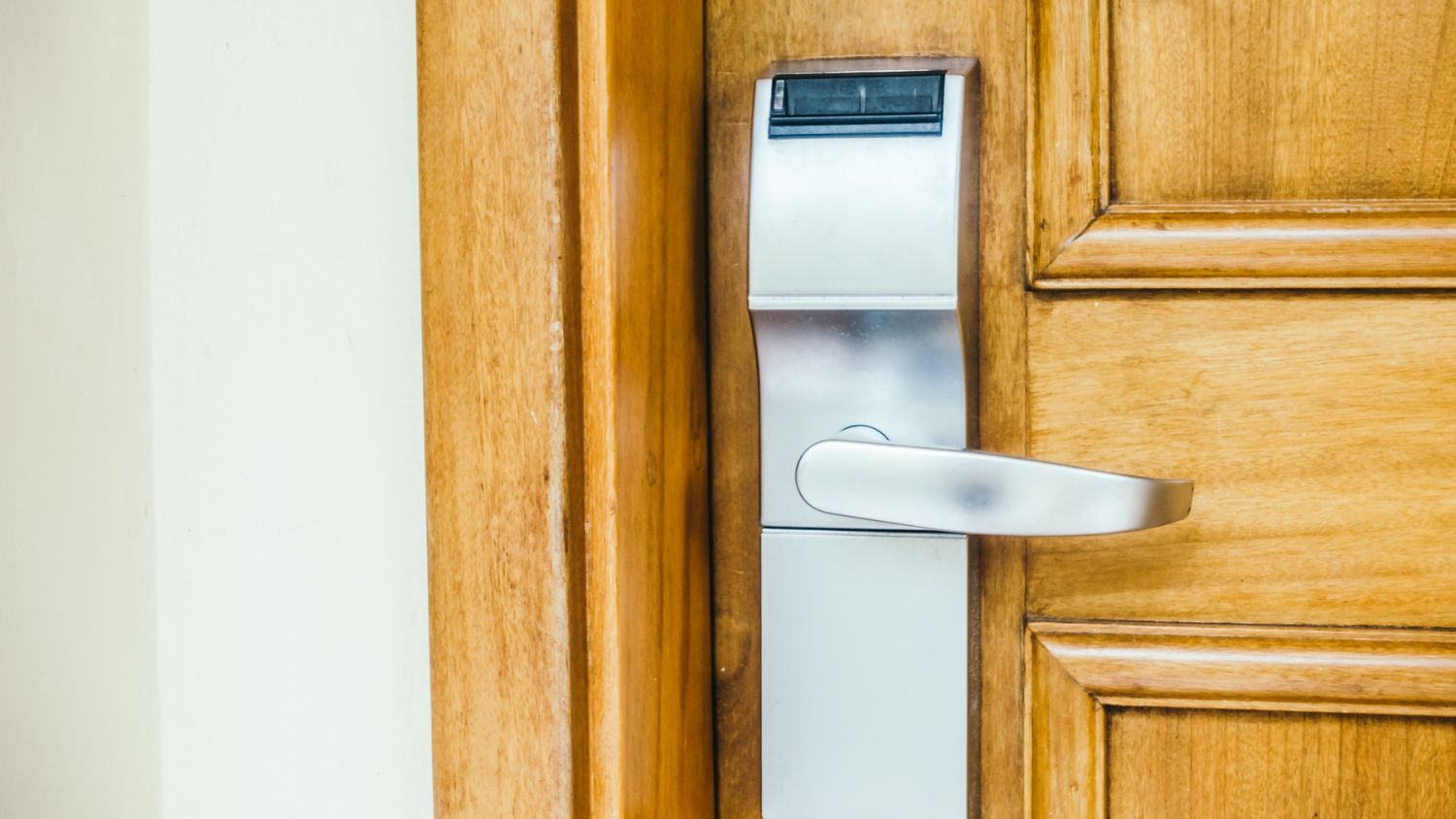 Main Door Handles