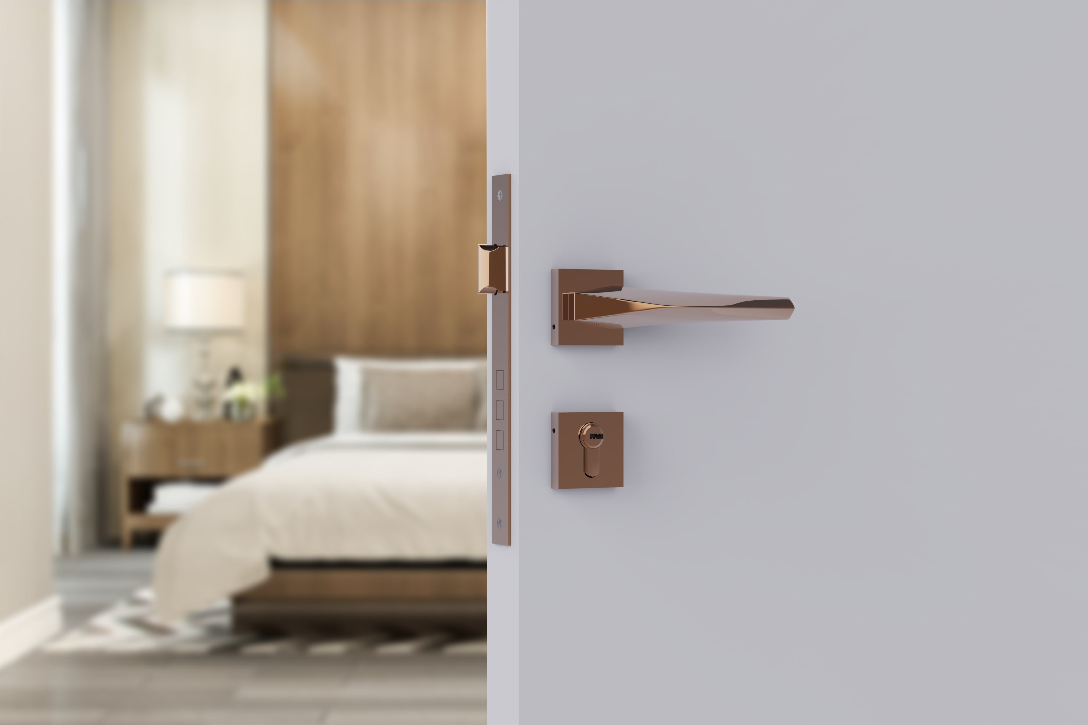 Door Lock Modern Fashion Interior Handle Simple Atmosphere Split Lock for Bedroom & Bathroom 