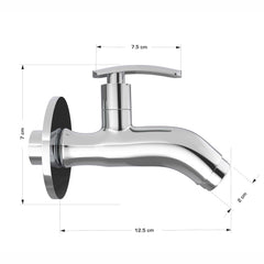 Chrome Finish Brass Wall Mount Short Nose Faucet - Riva