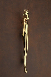 gloxy push pull door handles 12 inch gold