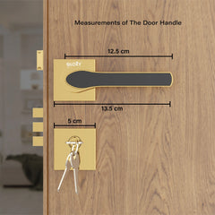Mortise Door Handles | Main Door Lock Handles Set with 3 Keys for Safety of Home | Kitchen, Bedroom, Bathroom(Gold)-by GLOXY®