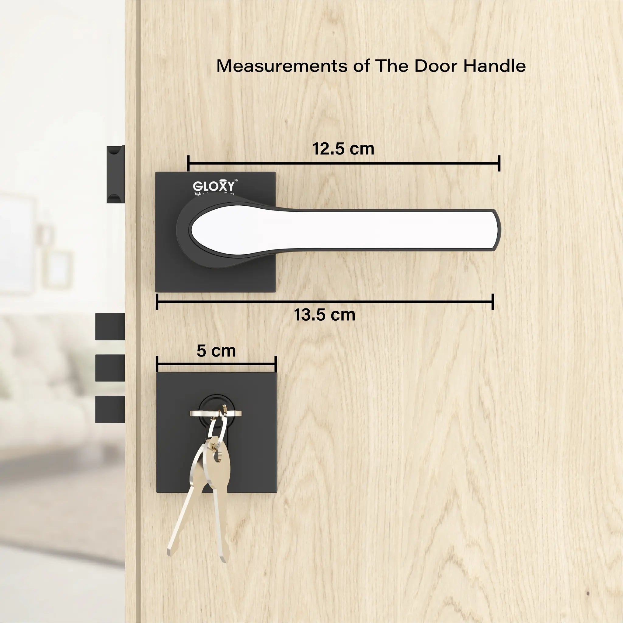 Mortise Door Handles | Main Door Lock Handles Set with 3 Keys for Safety of Home | Kitchen, Bedroom, Bathroom(Black)-by GLOXY®