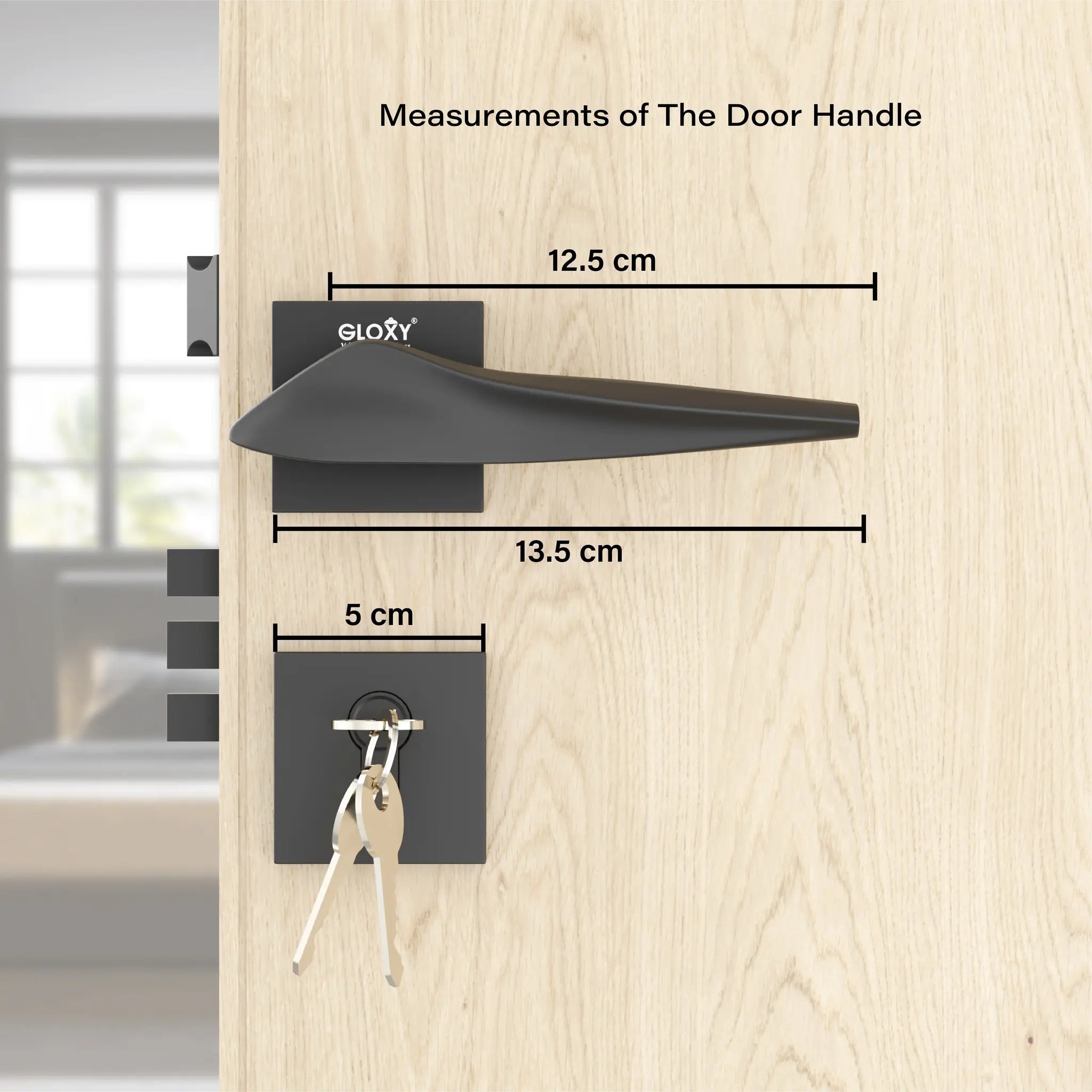 Gloxy Turox Series Black Finish Mortise Main Door key Lock With Handle