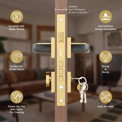 Mortise Door Handles Main Door Lock Handles Set with 3 Keys for Safety of Home | Bedroom, Office, Hotel, Home(Rose Gold)-by GLOXY®