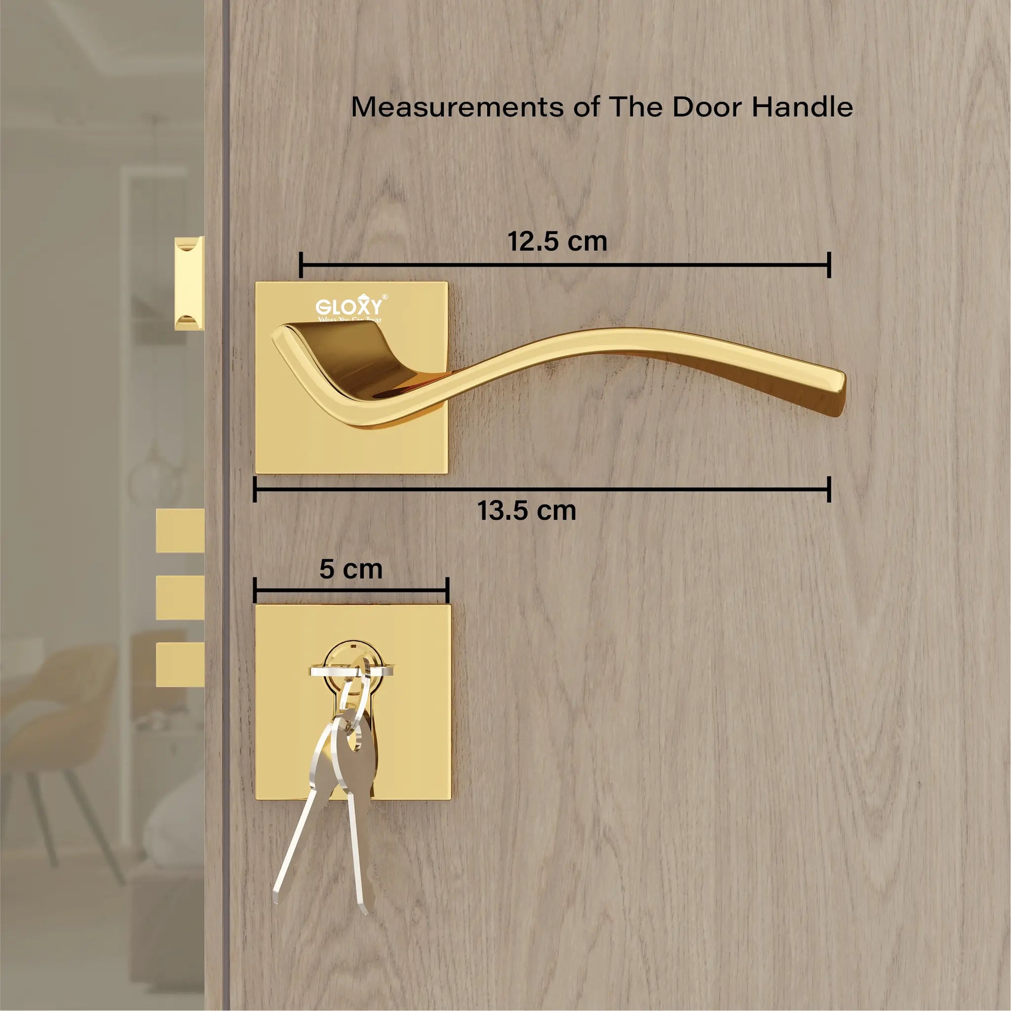 Gloxy Ronik Series Gold Finish Mortise Main Door key Lock With Handle