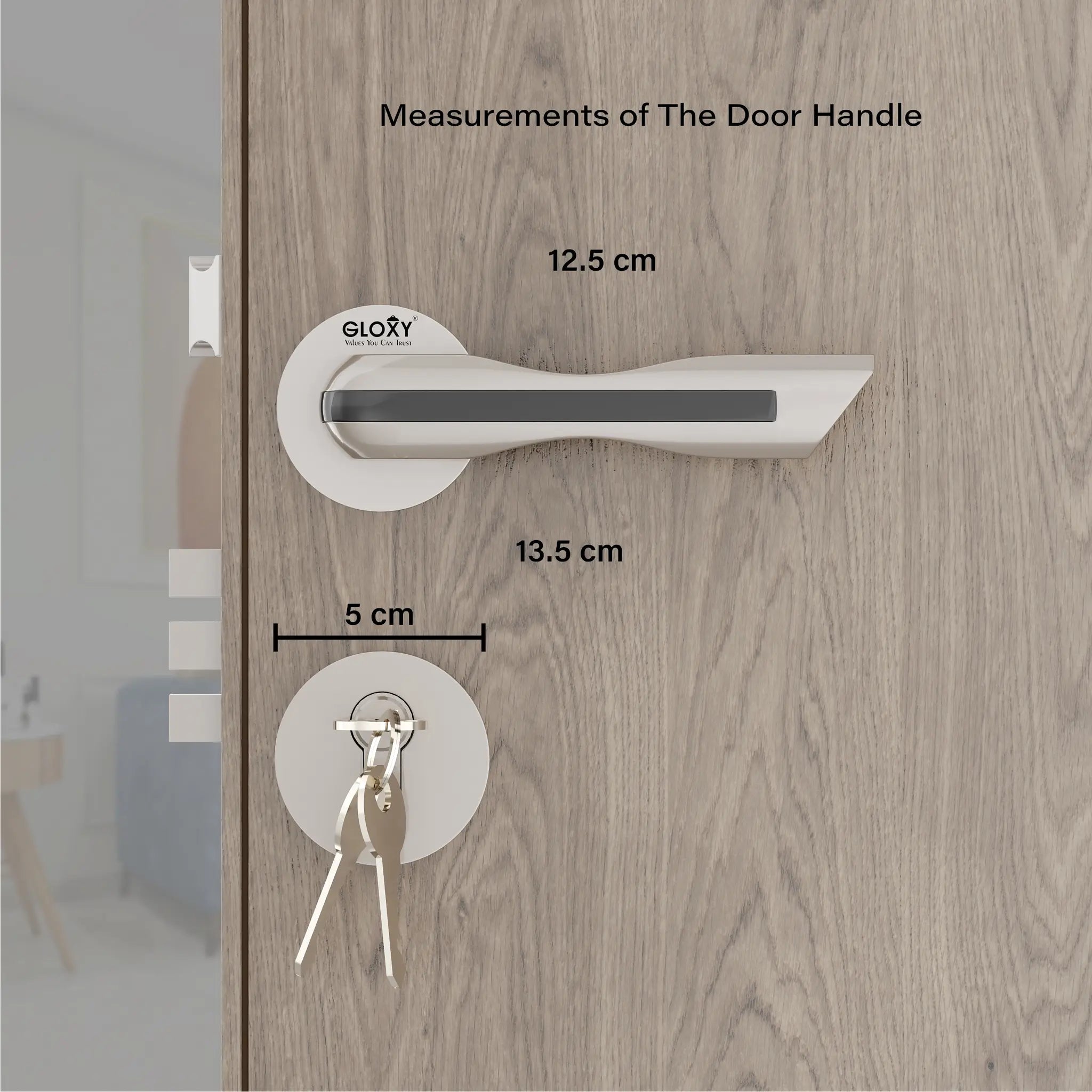Gloxy Cavin Series Satin Chrome Finish Mortise Main Door key Lock With Handle