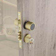 Gloxy Zayno Series Antique Finish Mortise Main Door key Lock With Round Handle