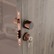Gloxy Zayno Series Rose Gold Finish Mortise Main Door key Lock With Round Handle