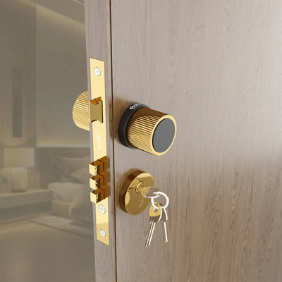 Gloxy Stylor Series Gold Finish Mortise Main Door Key Lock With Round Handle