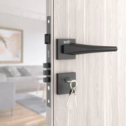 Gloxy zemtron Series Black Finish Mortise Main Door Key Lock With Handle